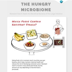 Which Foods Contain Resistant Starch?: The Hungry Microbiome