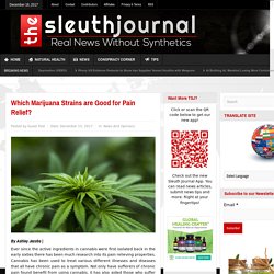 Which Marijuana Strains are Good for Pain Relief?