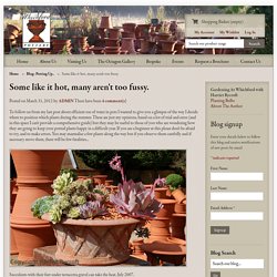 Whichford Pottery: Some like it hot, many aren't too fussy. / Potting Up...