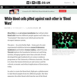 White blood cells pitted against each other in ‘Blood Wars’