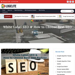 White Label SEO & How to Choose Best SEO Partner - Logelite