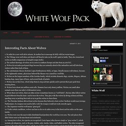 Interesting Facts About Wolves