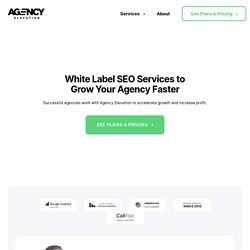 White Label SEO Services for Agencies