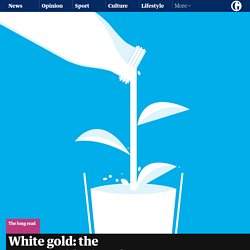 White gold: the unstoppable rise of alternative milks