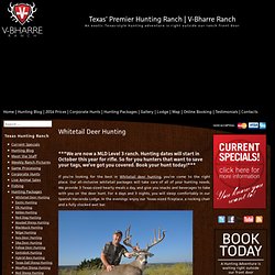 Whitetail Deer Hunting & Whitetail Deer Hunt Packages