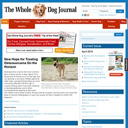 Whole Dog Journal is the monthly guide to natural dog care and training.