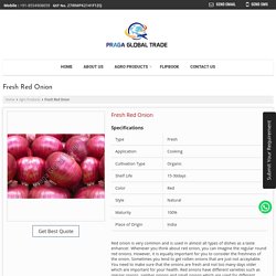 Buy Fresh Red Onion in Pune, Organic Red Onion Wholesaler - PragaGlobalTrade