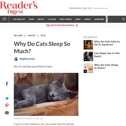 Why Do Cats Sleep So Much? Explained