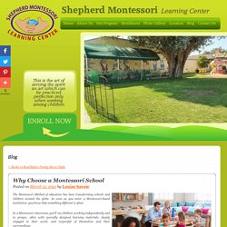 Why Choose a Montessori School