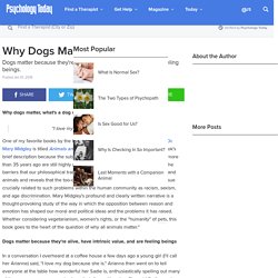 Why Dogs Matter