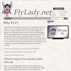 Why FLY?