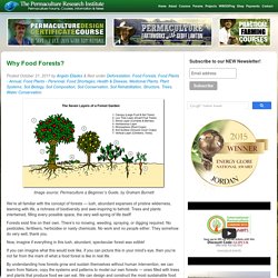 Why Food Forests? Permaculture Courses, Information, Forums, News