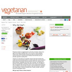 Becoming a Vegetarian