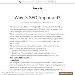 Why Is SEO Important? – Buzz-o-Biz