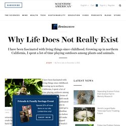 Why Life Does Not Really Exist