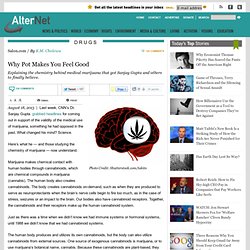 Why Pot Makes You Feel Good