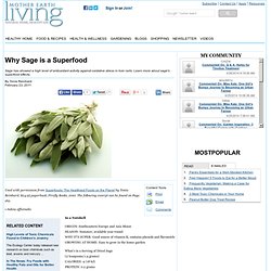 Why Sage is a Superfood