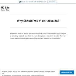 Why Should You Visit Hokkaido?