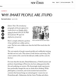 Why Smart People Are Stupid