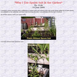 Why I Use Epsom Salt in the Garden