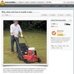 Why, when and how to scarify a lawn