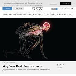 Why Your Brain Needs Exercise