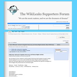 WikiLeaks: Outreach to Egyptian Democracy and Human Rights Activists