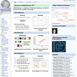 WikiPathways - WikiPathways