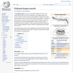 Palmaris longus muscle