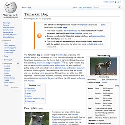 Tamaskan Dog