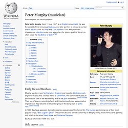 Peter Murphy (musician)