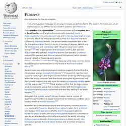 Fabaceae