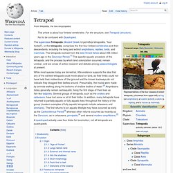 Tetrapod