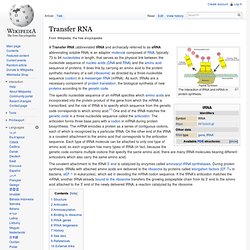 Transfer RNA