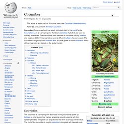 Wiki: Cucumber