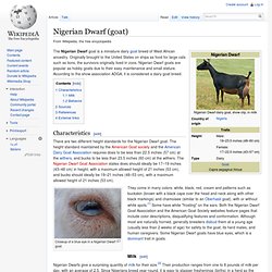Nigerian Dwarf (goat)