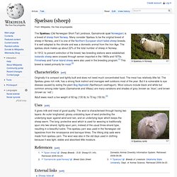 Spælsau (sheep)