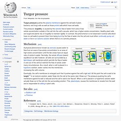 Turgor pressure