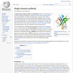 Single-domain antibody