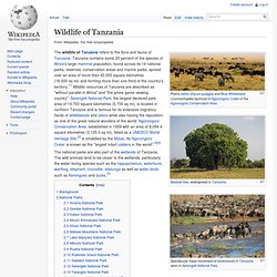 Wildlife of Tanzania