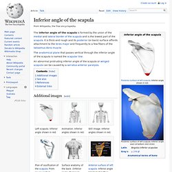 Inferior angle of the scapula
