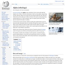 Alpha (ethology)