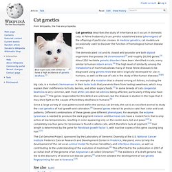 Cat genetics