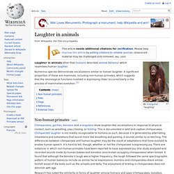 Laughter in animals
