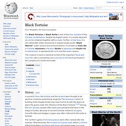 Black Tortoise