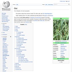 Oat