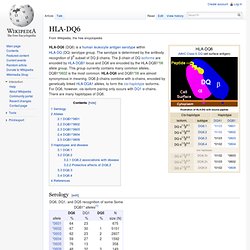 HLA-DQ6 - Wiki
