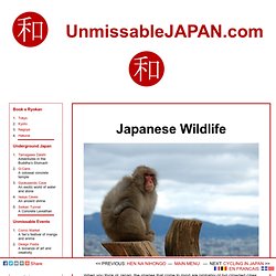 Wild Animals in Japan