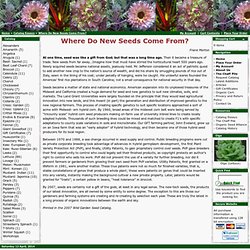 Wild Garden Seed: Where Do New Seeds Come From?