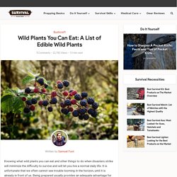 Wild Plants You Can Eat: A List of Edible Wild Plants